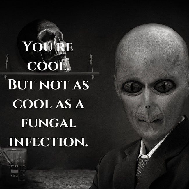 inspirobot kino