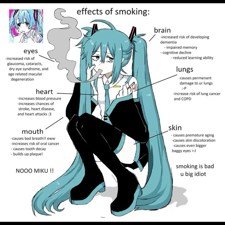 effects of smoking:
brain
J increased risk of developing
dementia
- impaired memory
~ cognitive decline
- reduced learning ability
-increased risk of
glaucoma, cataracts,
dry eye syndrome, and
age related macular C
degeneration
lungs
-causes permenant
damage to ur lungs
iP
heart -increase risk of Jung cancer
-increases blood pressure and COPD
-increases chances of
stroke, heart disease,
and heart attacks :3
skin
causes premature aging
“Causes skin discoloration
-causes even bigger
baggy eyes >
mouth
causes bad breath!! eww
-increases risk of oral cancer
- causes tooth decay
- builds up plaque!
NOOO MIKU !! smoking is bad
“ u big idiot effects of smoking:
brain
J increased risk of developing
dementia
- impaired memory
~ cognitive decline
- reduced learning ability
-increased risk of
glaucoma, cataracts,
dry eye syndrome, and
age related macular C
degeneration
lungs
-causes permenant
damage to ur lungs
iP
heart -increase risk of Jung cancer
-increases blood pressure and COPD
-increases chances of
stroke, heart disease,
and heart attacks :3
skin
causes premature aging
“Causes skin discoloration
-causes even bigger
baggy eyes >
mouth
causes bad breath!! eww
-increases risk of oral cancer
- causes tooth decay
- builds up plaque!
NOOO MIKU !! smoking is bad
“ u big idiot