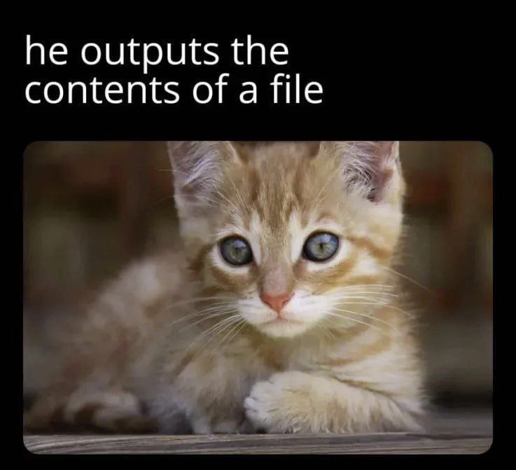 he outputs the
contents of a file