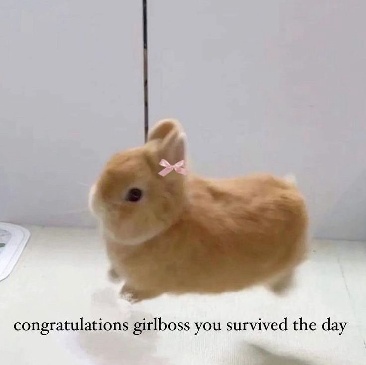 congratulations girlboss you survived the day