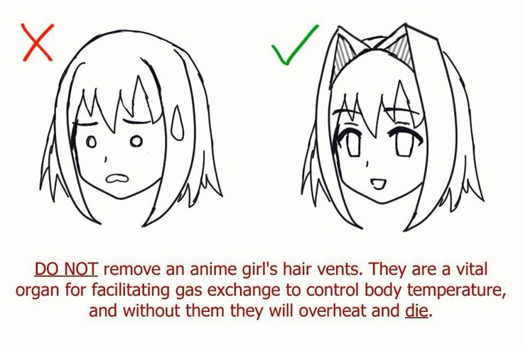 x

DO NOT remove an anime girl's hair vents. They are a vital
organ for facilitating gas exchange to control body temperature,
and without them they will overheat and die.