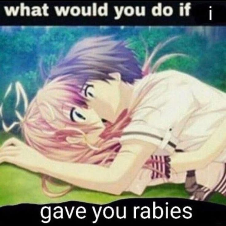 what would you do if |

~~ ¢e .

gave you rabies
