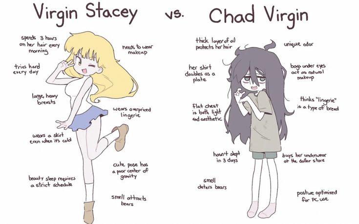 Virgin Stacey

>
spends 3 bows
onan brew (0 me tou
vay ae ; makeup
tne herd mas at
every dey iA v .
N
\
Ly

/ i>

forge, heey r

rears ‘, LG
y

_/ Lingerie
=>
c-
rors o skirt
txen when ‘Hs cal \ KX U
| cute pose hos
| poor center oF
beouty sleep requires | grourty
a strict sched iv
' smell otbracts
ee

| |

NS.

Chad Virgin

buys her underwear
i Hf \ ok the dollar store
\