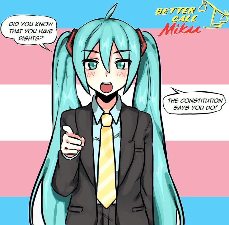 BPELTEA ON
eyls |e
i~——.,

Mita

DIO YOU KNOW
THAT YOU HAVE
RIGHTS?

THE CONSTITUTION
SAYS YOU DOS