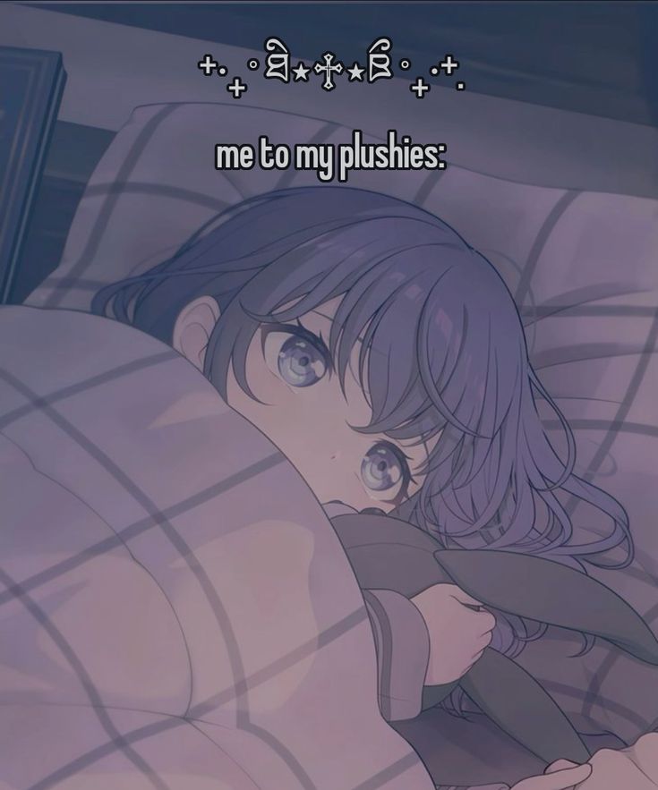 + =| fe R +
- ° Ak xR °
+ +:

me to my plushies: