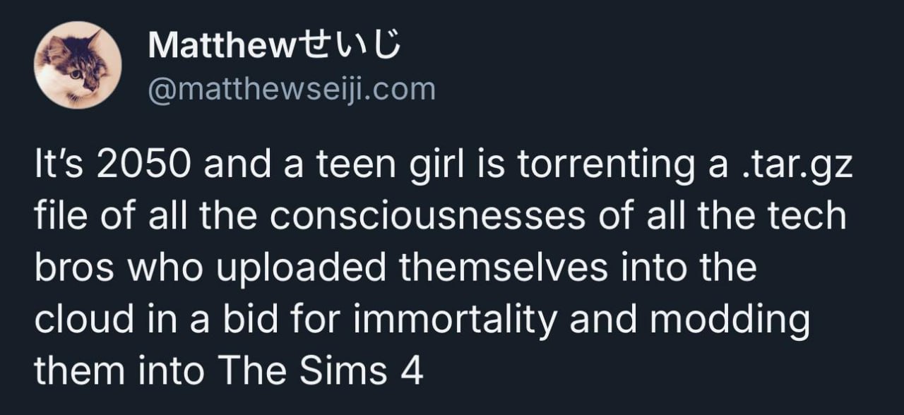 CS Matthewt l\U
mY @matthewseiji.com

It's 2050 and a teen girl is torrenting a .tar.gz

file of all the consciousnesses of all the tech
bros who uploaded themselves into the
cloud in a bid for immortality and modding
them into The Sims 4