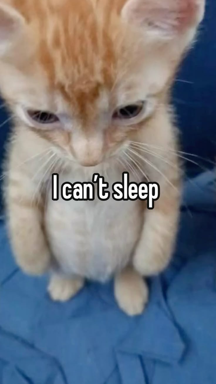 Questo Pin è stato scoperto da Microwavble Spoon. Scopri (e salva) i tuoi Pin su Pinterest.