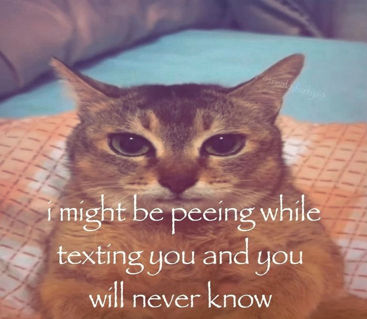 = a you and ix you >

will never know