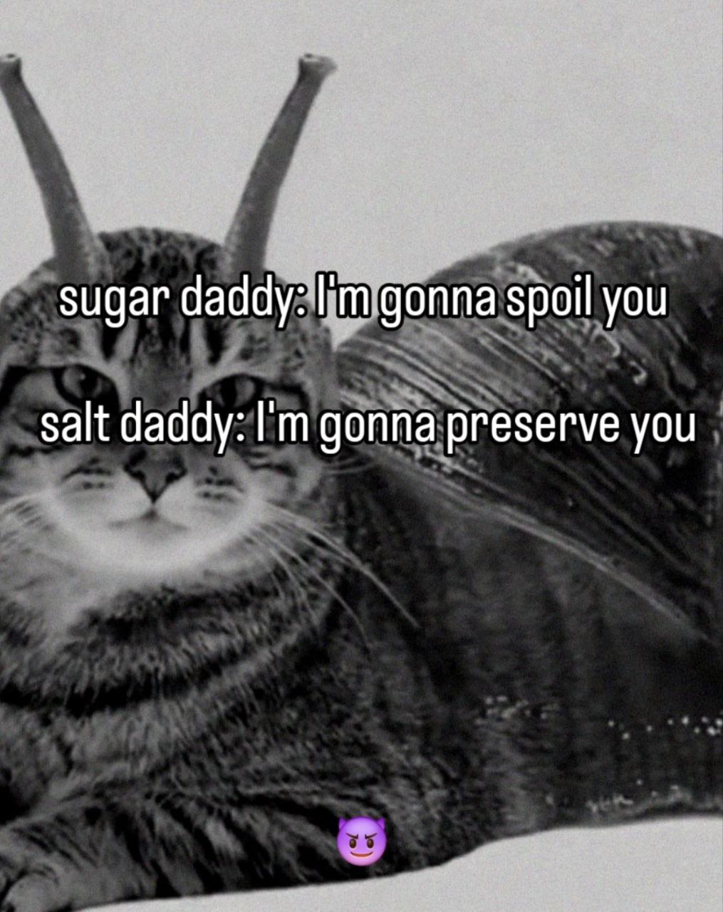 sugar daddy: I'm gonna spoil you

salt daddy: I'm gonna preserve you

😈