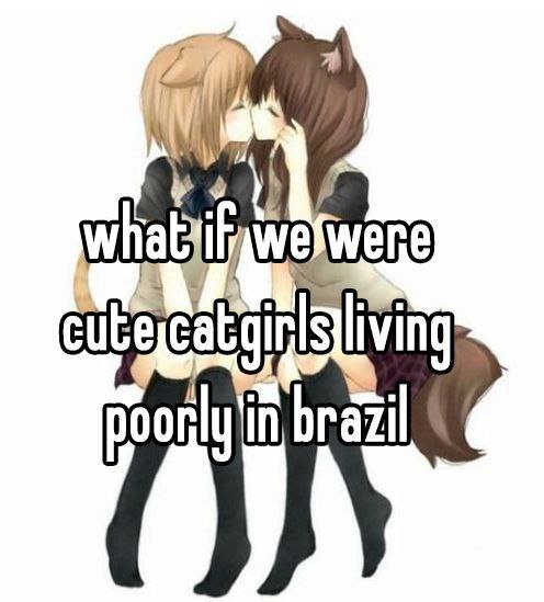 what if we were
cute catgirls living
poorly in brazil