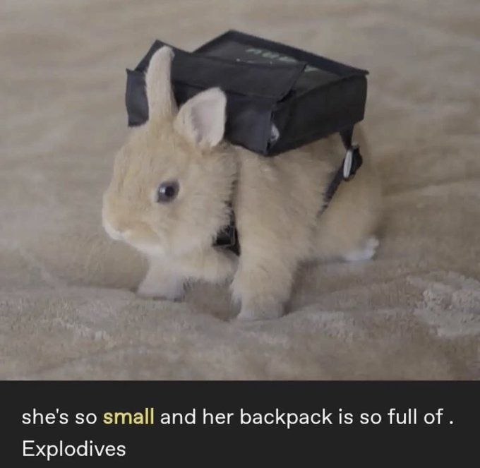 she's so small and her backpack is so full of .

Explodives