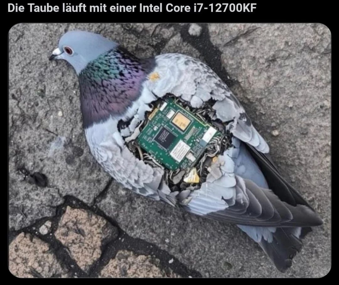 Die Taube läuft mit einer Intel Core i7-12700KF