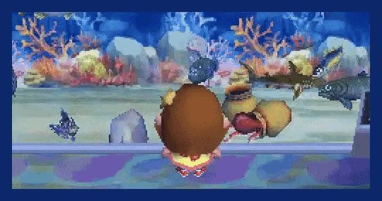 Animal Crossing Wild World, 2005