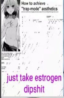 aly ¢ q How to achieve .

{ i) “trap-mode" aesthetics

/ just take estrogen’
_ dipshit