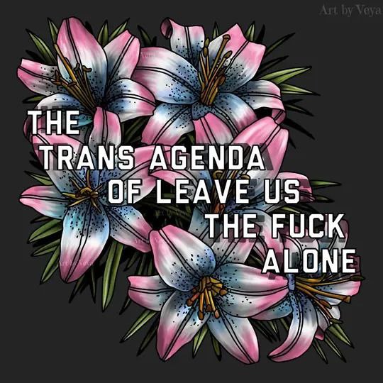 THE
TRANS AGENDA
OF LEAVE US
THE FUCK
ALONE