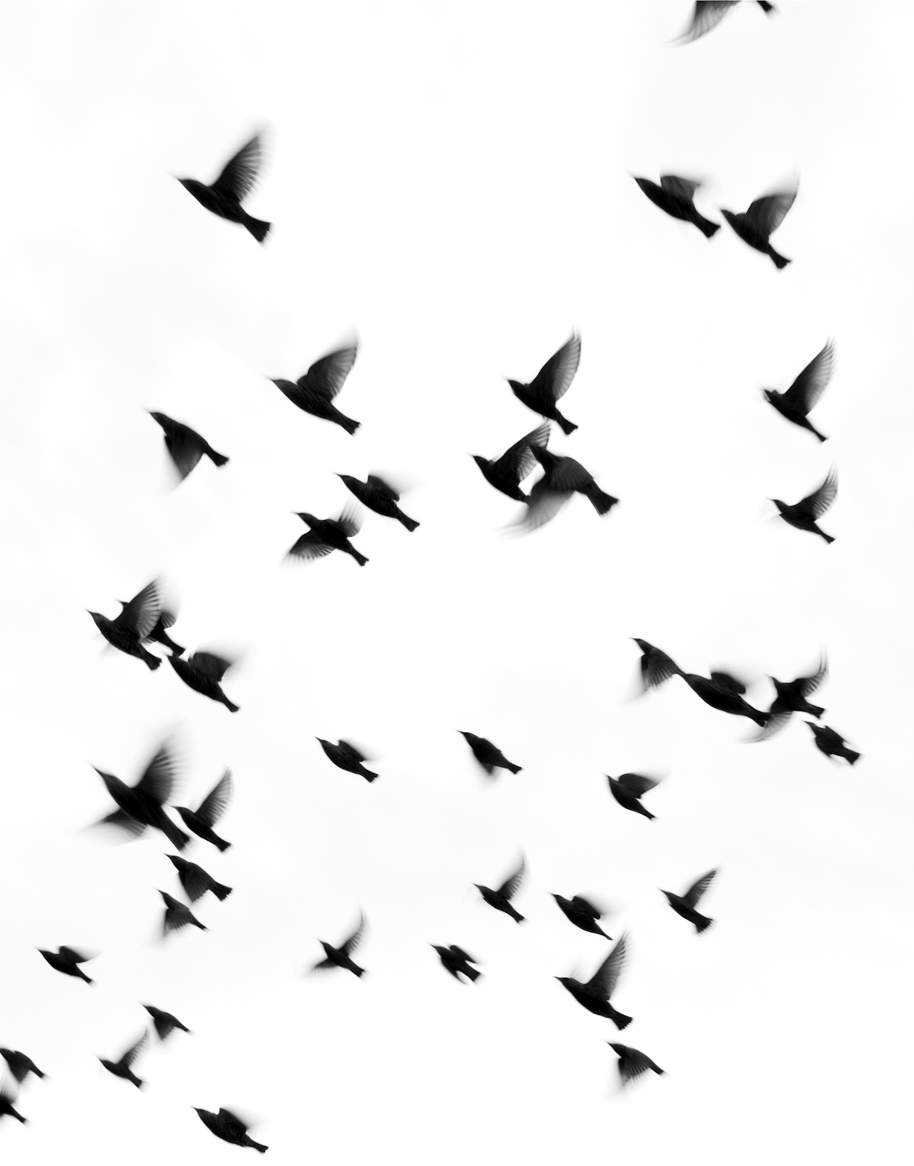 http://www.istockphoto.com/portfolio/digi_guru?platform=blogger