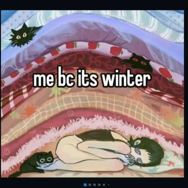 ~

: mesbcitSwinter