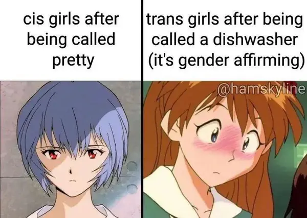 cis girls after |trans girls after being
being called called a dishwasher
pretty (it's gender affirming)

Grameggre
(gif

\

Wy

=~