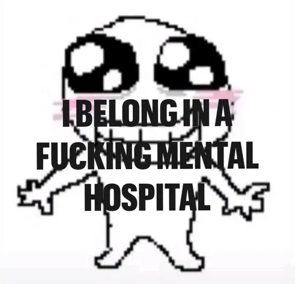 I BELONG IN A
FUCKING MENTAL
HOSPITAL