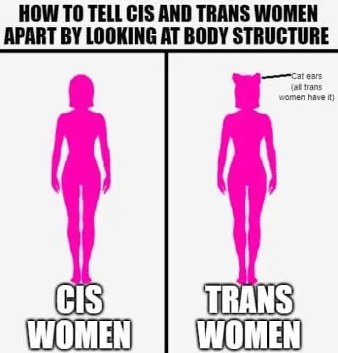 HOW TO TELL CIS AND TRANS WOMEN
APART BY LOOKING AT BODY STRUCTURE