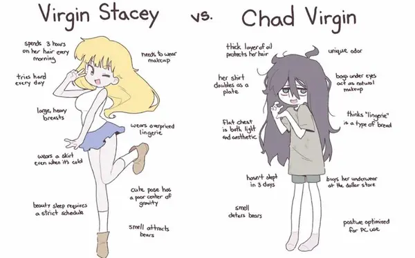 Virgin Stacey

>
spends 3 bows
onan brew (0 me tou
vay ae ; makeup
tne herd mas at
every dey iA v .
N
\
Ly

/ i>

forge, heey r

rears ‘, LG
y

_/ Lingerie
=>
c-
rors o skirt
txen when ‘Hs cal \ KX U
| cute pose hos
| poor center oF
beouty sleep requires | grourty
a strict sched iv
' smell otbracts
ee

| |

NS.

Chad Virgin

buys her underwear
i Hf \ ok the dollar store
\