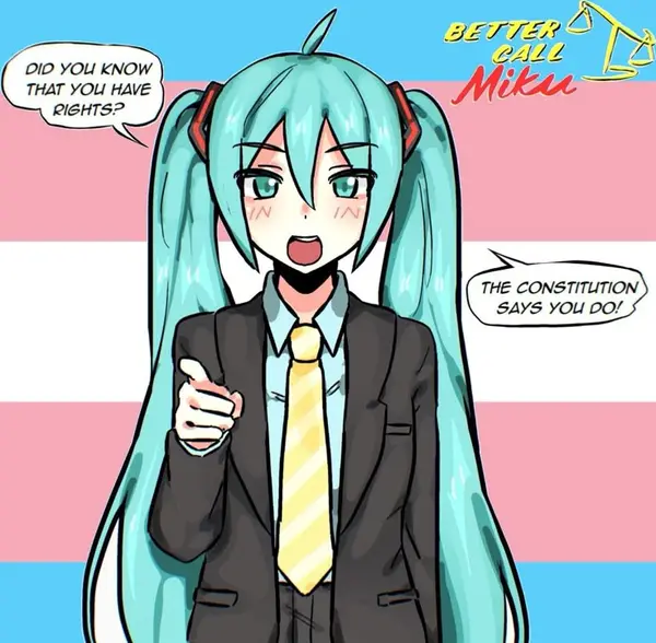 BPELTEA ON
eyls |e
i~——.,

Mita

DIO YOU KNOW
THAT YOU HAVE
RIGHTS?

THE CONSTITUTION
SAYS YOU DOS