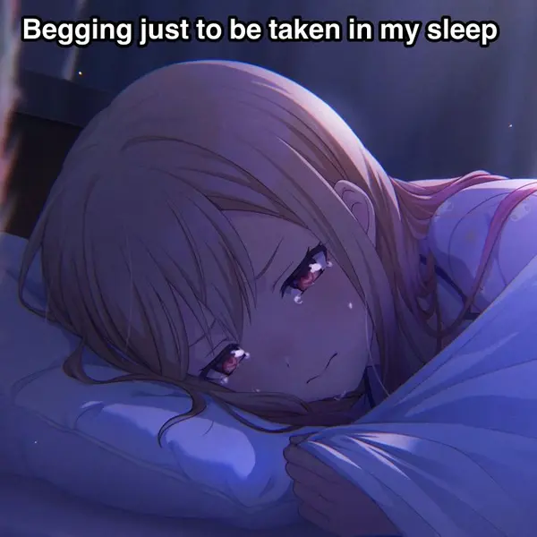 Begging just to be taken in my sleep
