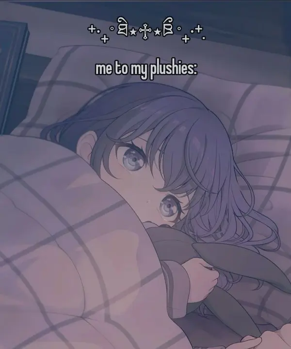 + =| fe R +
- ° Ak xR °
+ +:

me to my plushies:
