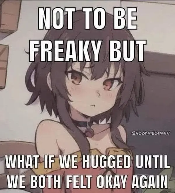 NOT TO BE
FREAKY BUT

WHAT IF WE HUGGED UNTIL
WE BOTH FELT OKAY AGAIN

@HOODMEGUMIN