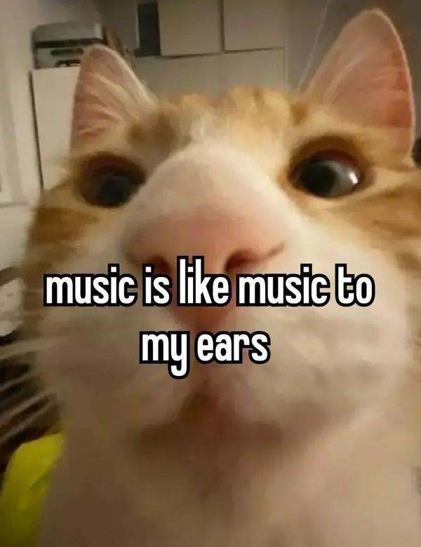 music is like music to
my ears