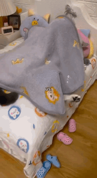 cats french kissing? 😳