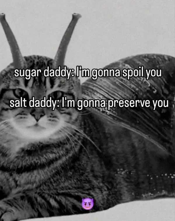sugar daddy: I'm gonna spoil you

salt daddy: I'm gonna preserve you

😈
