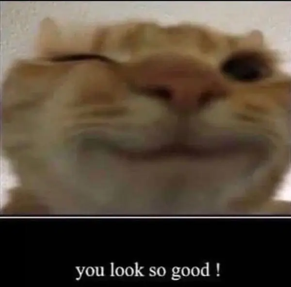 you look so good !