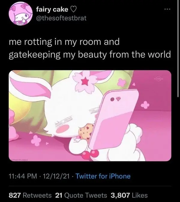 fairy cake ❤
@thesoftestbrat

me rotting in my room and
gatekeeping my beauty from the world

11:44 PM - 12/12/21 - Twitter for iPhone