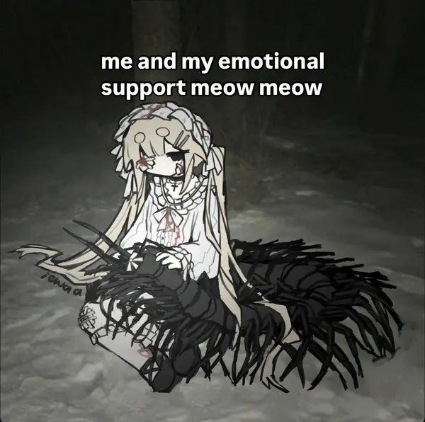 me and my emotional
support meow meow