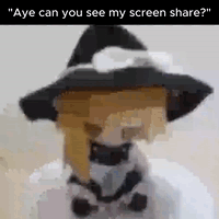 "Aye can you see my screen share?"