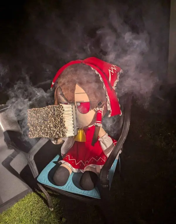 Reimu sta fumando 500 sigarette