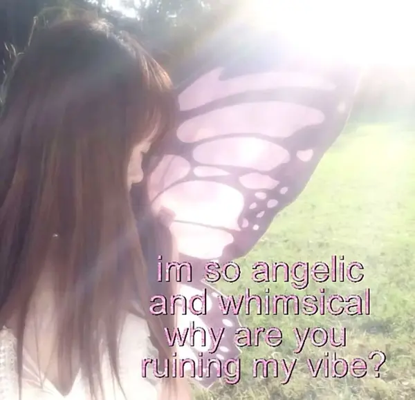 im so angelic
and whimsical
why are you
ruining my vibe?