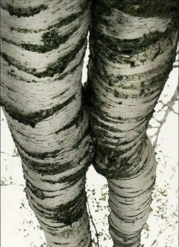 このピンは、TORGIS Pedersenさんが見つけました。あなたも Pinterest で自分だけのピンを見つけて保存しましょう！