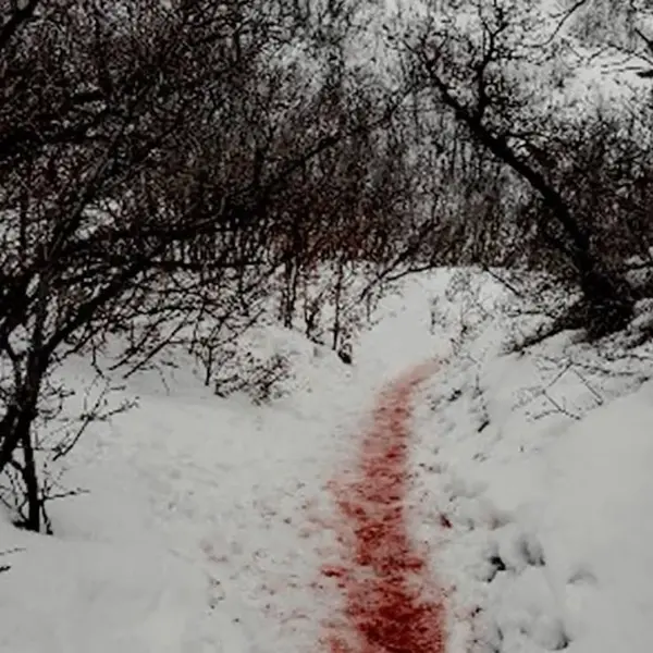 Автор пина:k. Находите и прикалывайте свои пины в Pinterest!