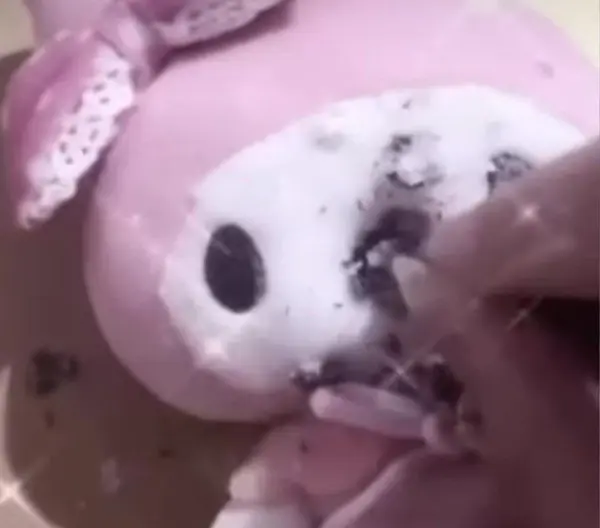 3 gen 2026 - Questo Pin è stato scoperto da 𝐌𝗂ᥣk. Scopri (e salva) i tuoi Pin su Pinterest.