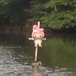 Bu Pin, 🩹 tarafından keşfedildi. Kendi Pinlerinizi keşfedin ve Pinterest'e kaydedin!