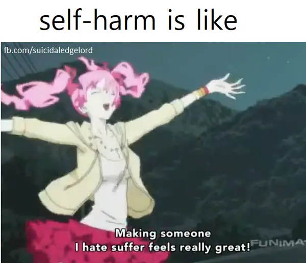 self-harm is like

fb.com/suicidaledgelord

Making someone
I hate suffer feels really great!