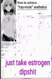 aly ¢ q How to achieve .

{ i) “trap-mode" aesthetics

/ just take estrogen’
_ dipshit