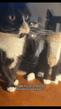 I made my cat a replica of
herself but she hates it