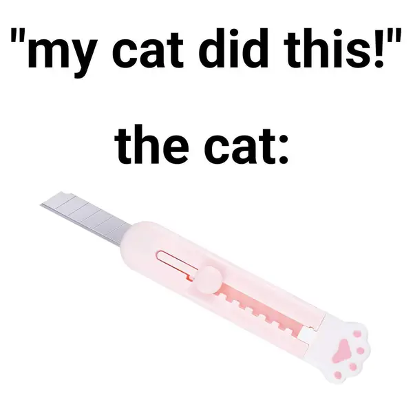 "my cat did this!"

the cat: