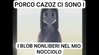 PORCO CAZOZ CI SONO I

I BLOB NONLIBERI NEL MIO
NOCCIOLO