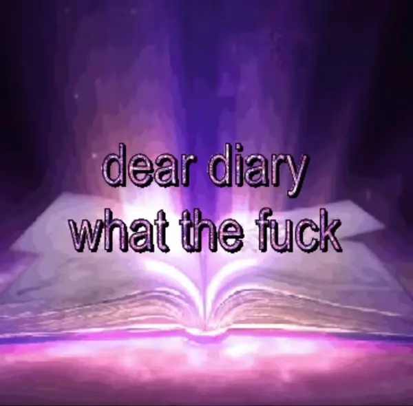 dear diary
what the fuck