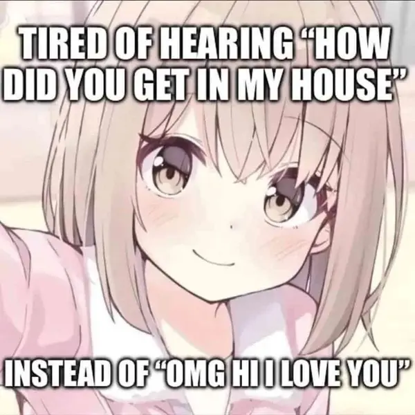 TIRED OF HEARING "HOW
DID YOU GET IN MY HOUSE"

INSTEAD OF "OMG HI I LOVE YOU"
