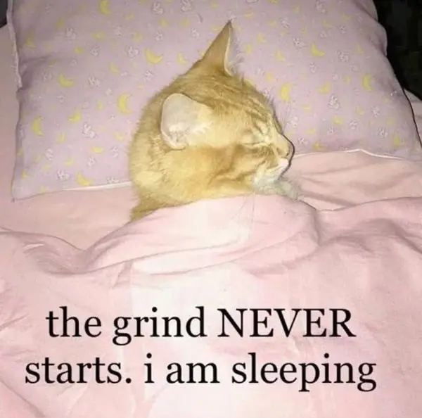 the grind NEVER
starts. i am sleeping